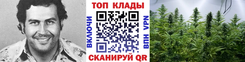 Магазин наркотиков Ряжск A-PVP  COCAIN  Меф  АМФ  ГАШИШ  Канабис 