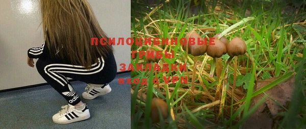 эйфоретик Магас