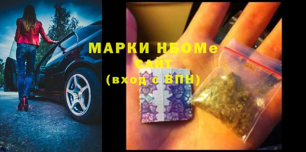 PSILOCYBIN Алзамай